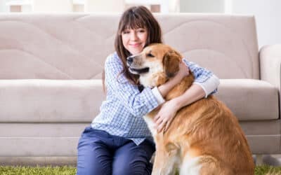 Understanding Pet Insurance: Is It Worth It?
