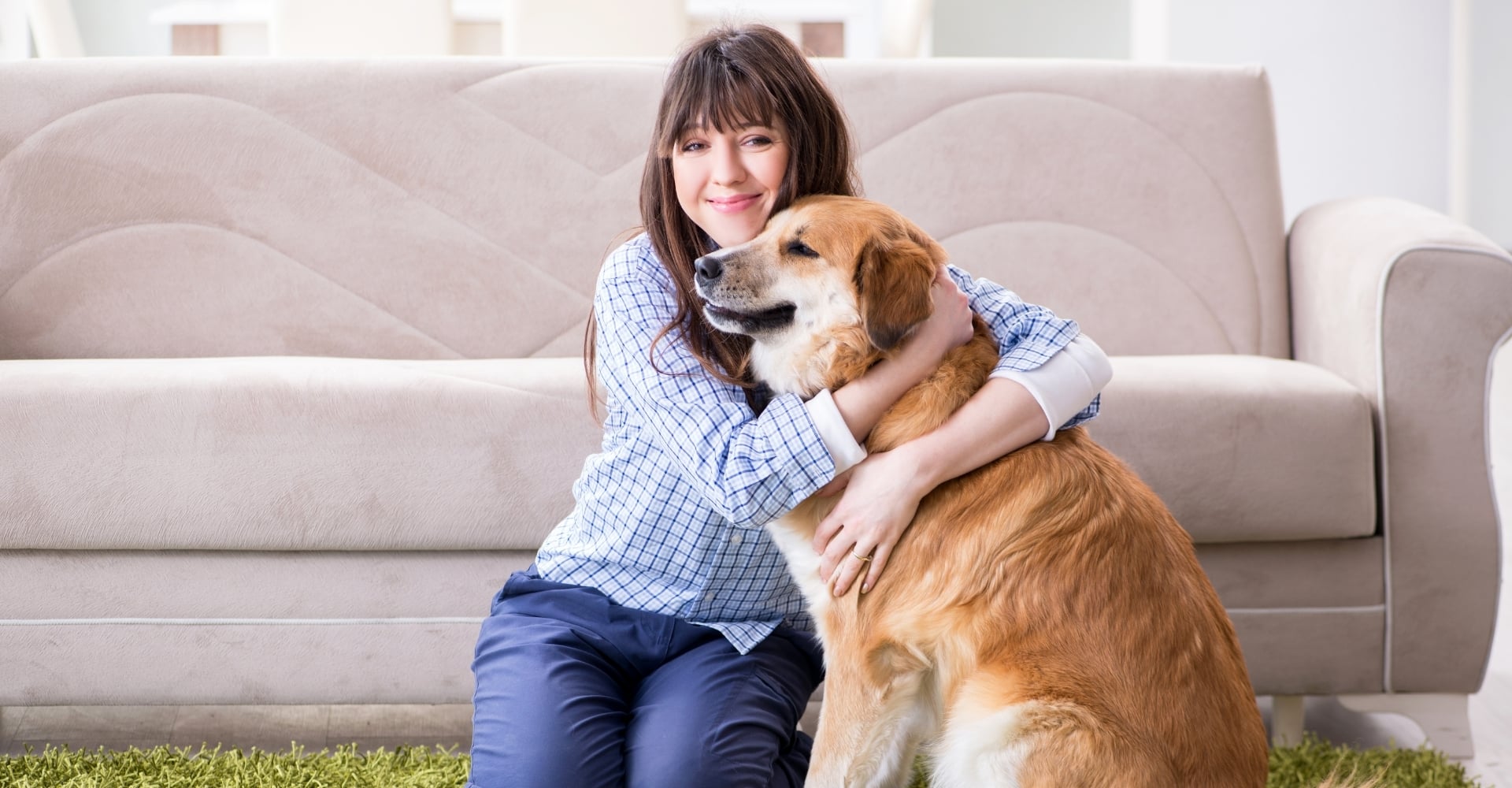 A happy dog with their owner