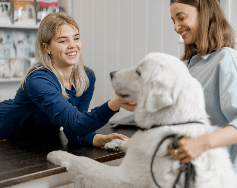 Two women gently pet a white dog in a pet store