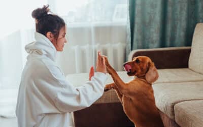 Understanding Anxiety in Dogs and Cats: Symptoms and At-Home Care Tips