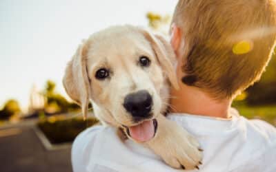 Tips for Puppy Socialization
