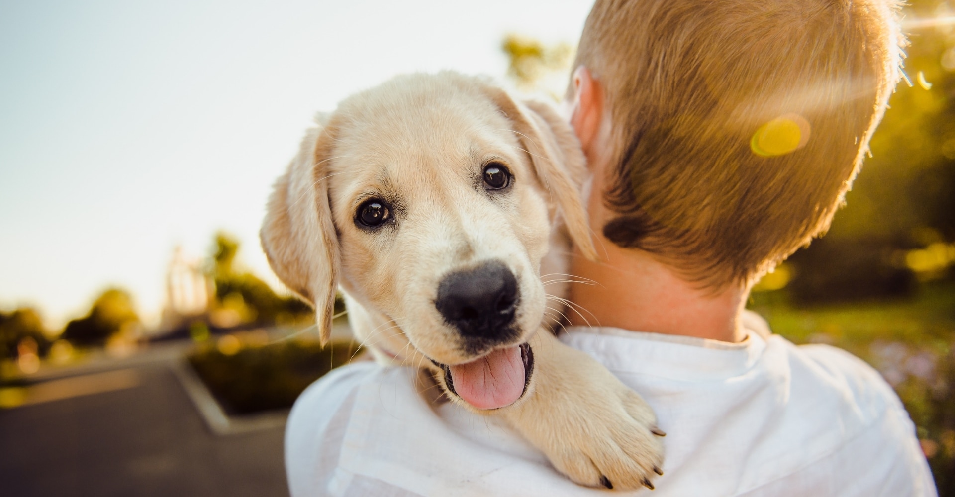 puppy interacting happily with a person